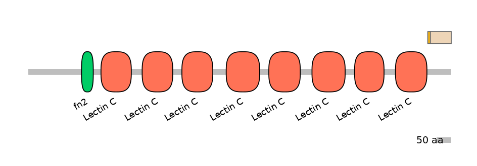 HsaINT0104968-EXC