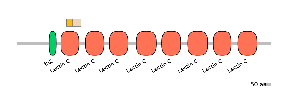 HsaINT0104971-EXC