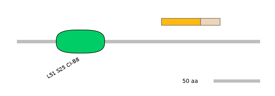HsaINT0105182-EXC