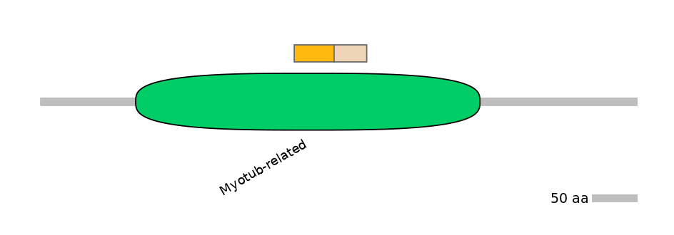 HsaINT0106300-EXC