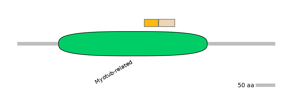 HsaINT0106301-EXC