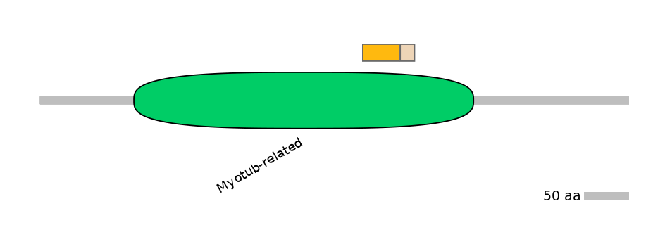 HsaINT0106302-EXC