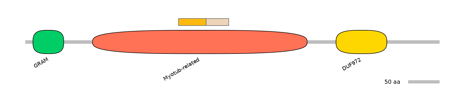 HsaINT0106313-EXC