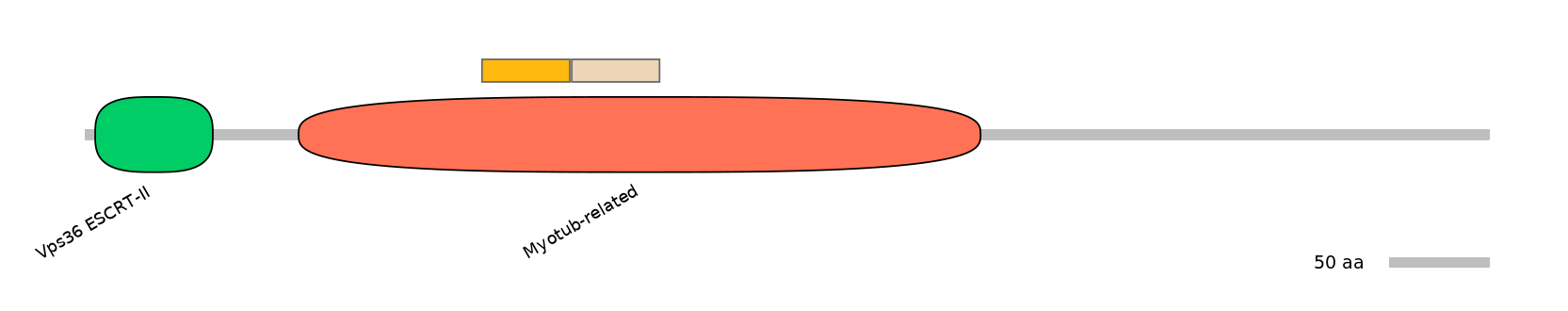 HsaINT0106325-EXC