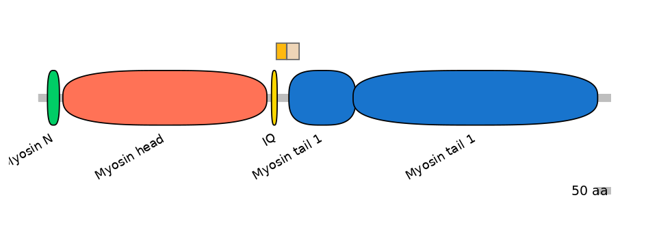 HsaINT0107470-EXC