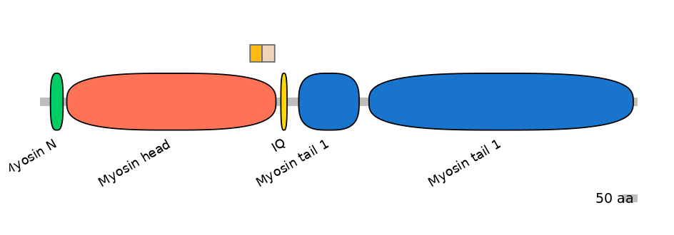 HsaINT0107729-EXC