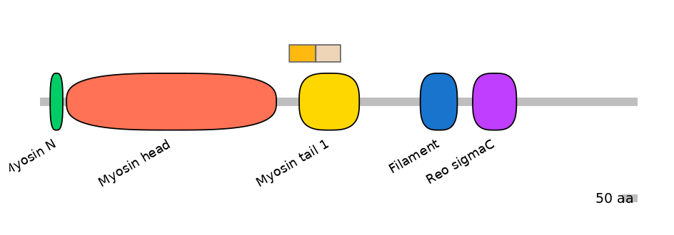 HsaINT0107811-EXC