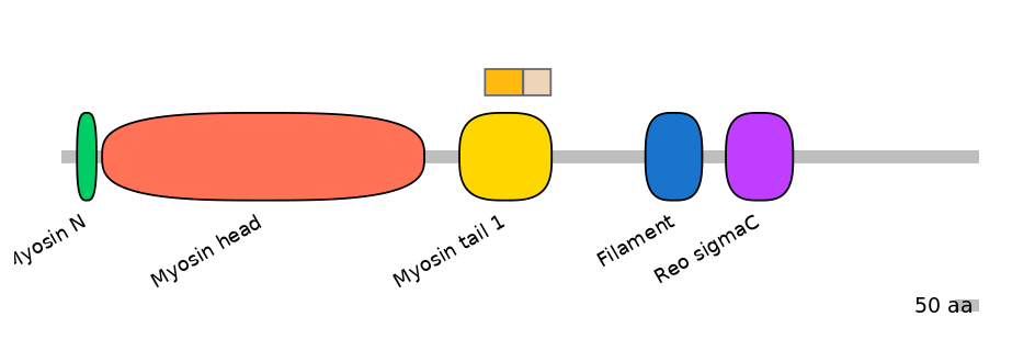 HsaINT0107812-EXC