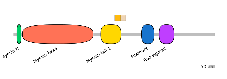HsaINT0107813-EXC