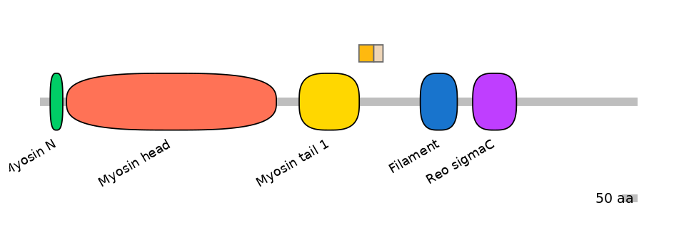 HsaINT0107814-EXC