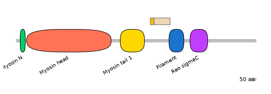HsaINT0107815-EXC