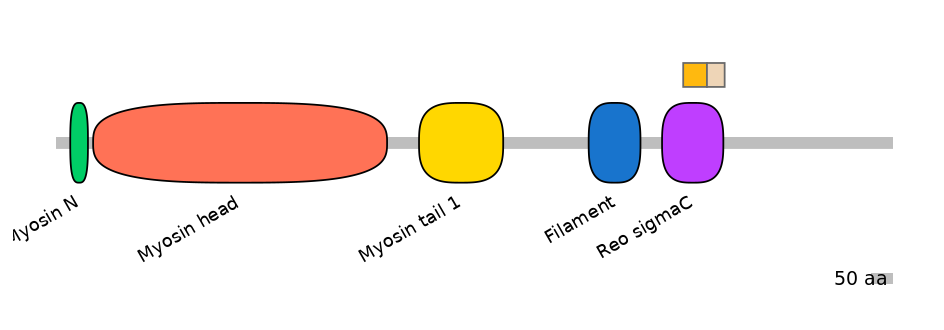 HsaINT0107822-EXC