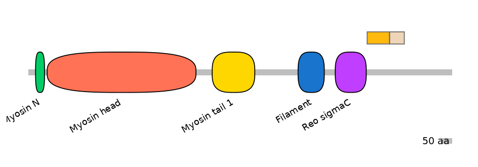 HsaINT0107824-EXC