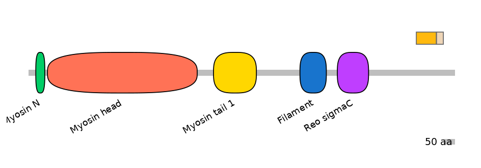 HsaINT0107827-EXC
