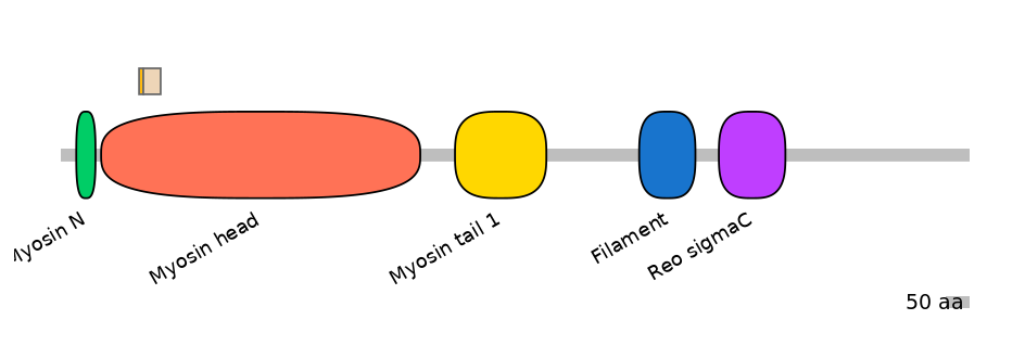 HsaINT0107832-EXC