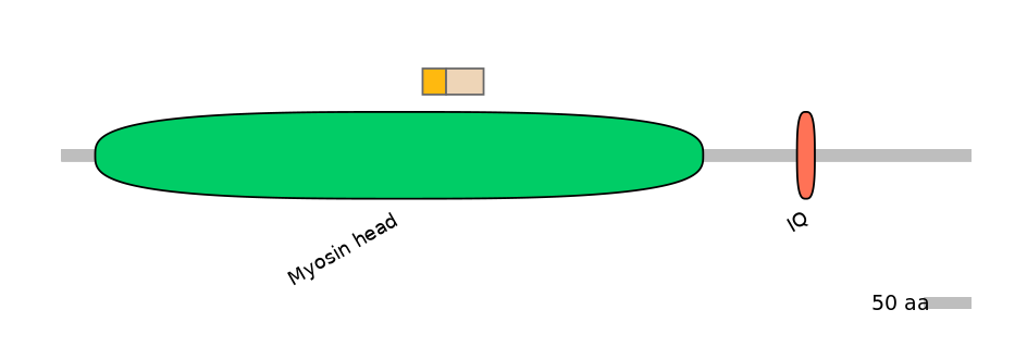 HsaINT0108449-EXC