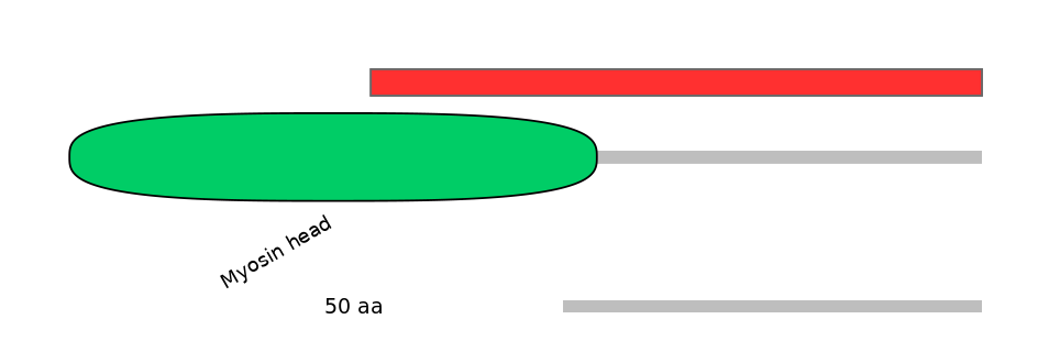 HsaINT0108449-INC