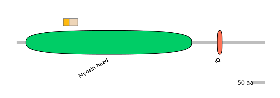 HsaINT0108463-EXC