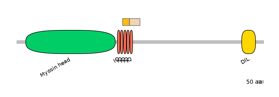 HsaINT0108764-EXC