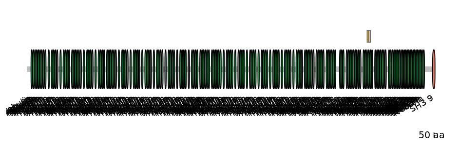 HsaINT0112112-EXC