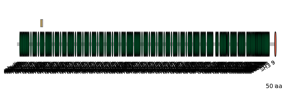 HsaINT0112162-EXC