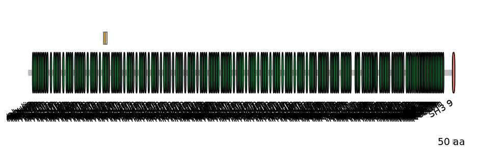 HsaINT0112177-EXC