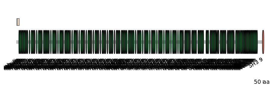 HsaINT0112178-EXC