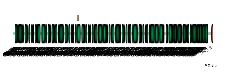 HsaINT0112199-EXC