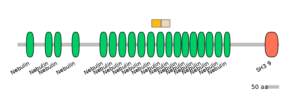 HsaINT0112257-EXC
