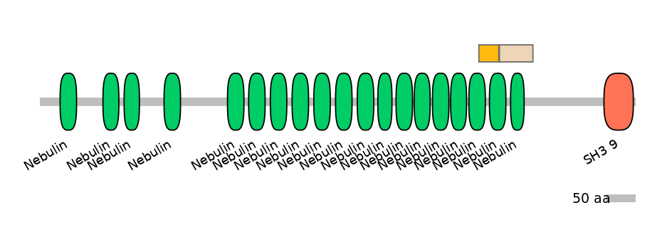 HsaINT0112265-EXC