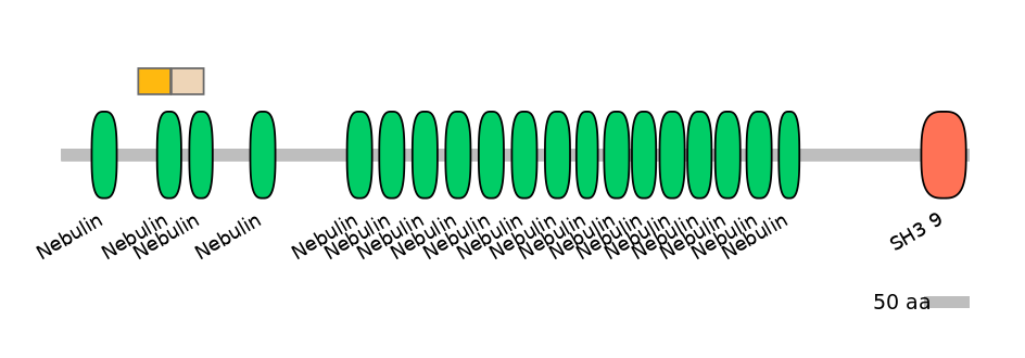 HsaINT0112271-EXC