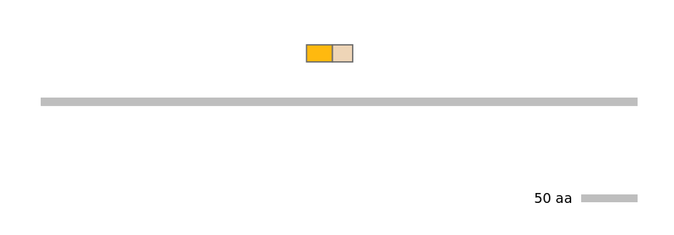 HsaINT0112674-EXC