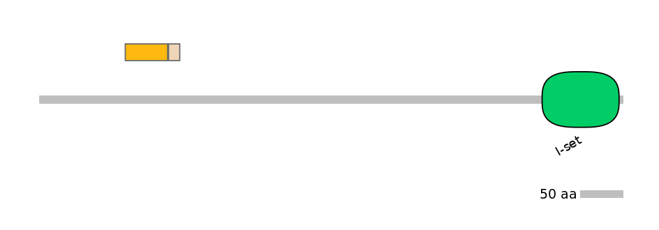 HsaINT0112847-EXC