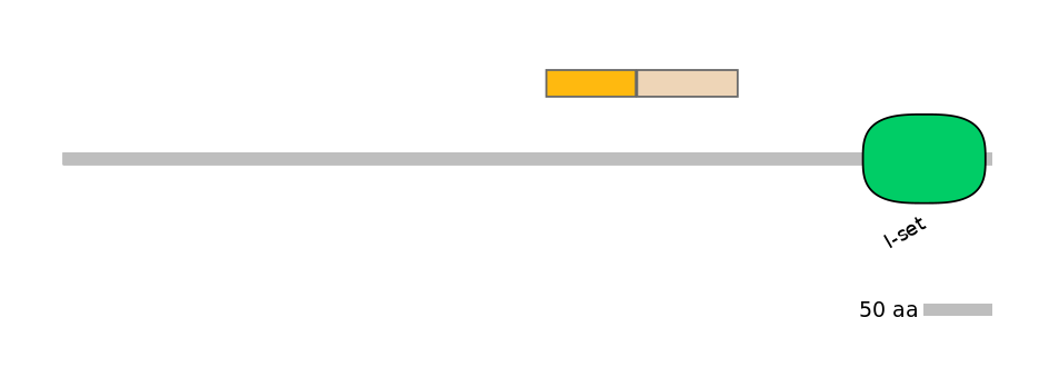 HsaINT0112852-EXC