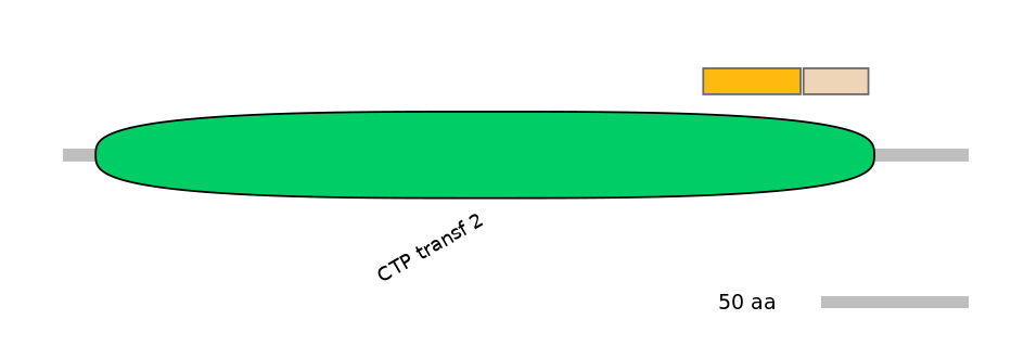 HsaINT0114205-EXC