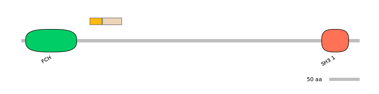 HsaINT0114787-EXC