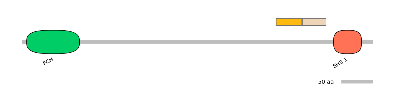 HsaINT0114795-EXC