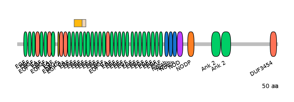 HsaINT0114809-EXC
