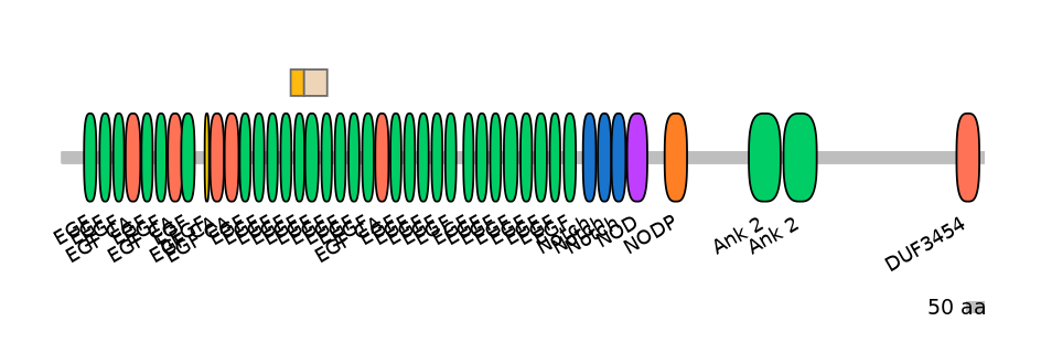 HsaINT0114810-EXC