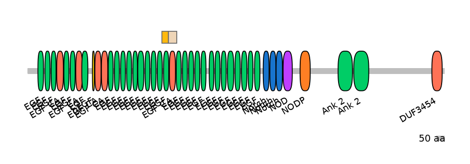 HsaINT0114814-EXC