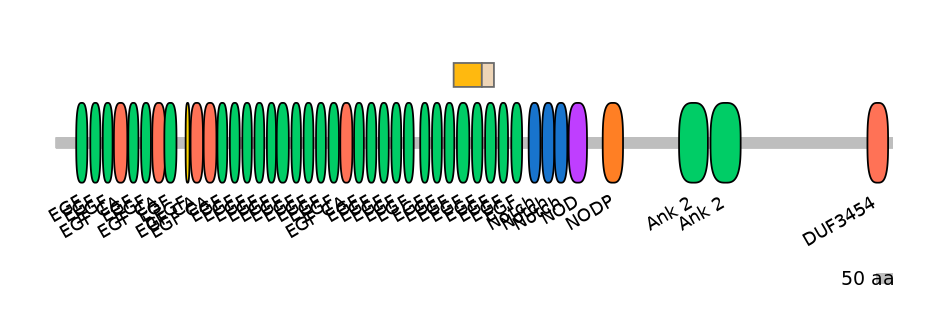 HsaINT0114822-EXC
