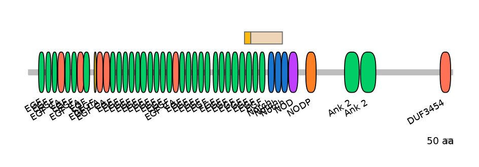 HsaINT0114823-EXC