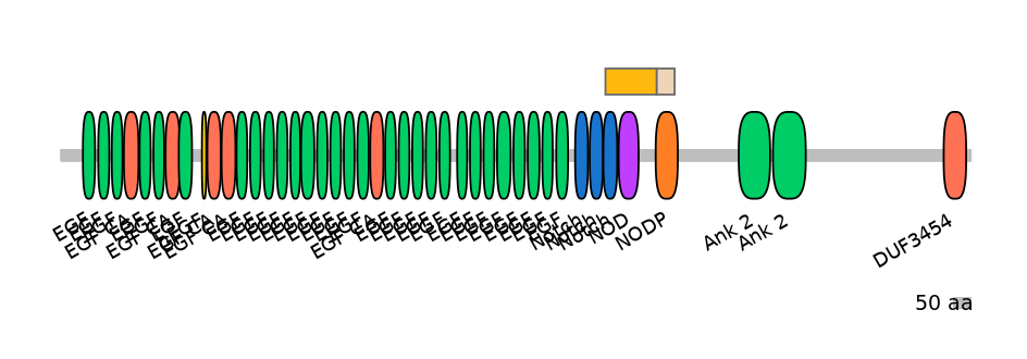 HsaINT0114825-EXC