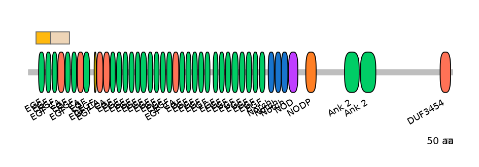 HsaINT0114829-EXC