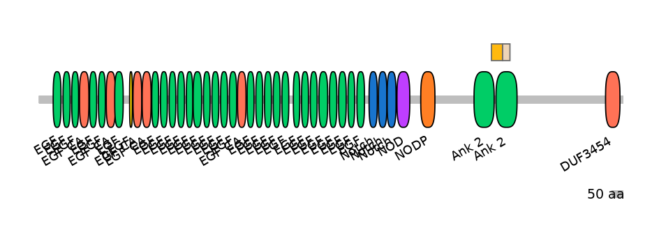 HsaINT0114832-EXC