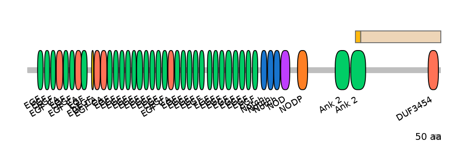 HsaINT0114833-EXC