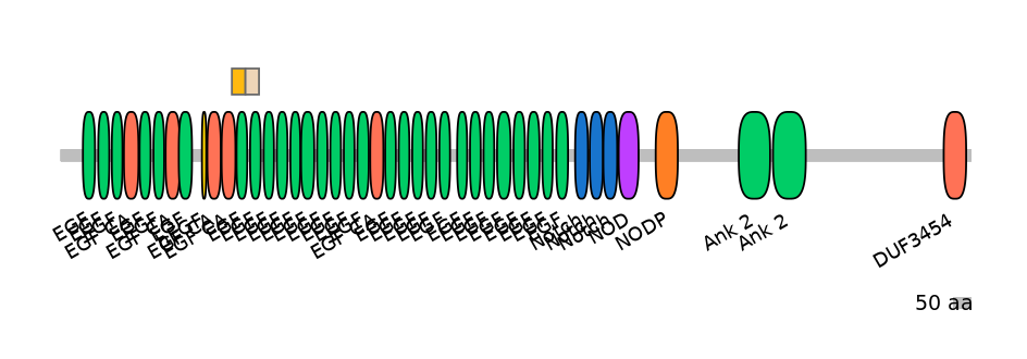 HsaINT0114839-EXC