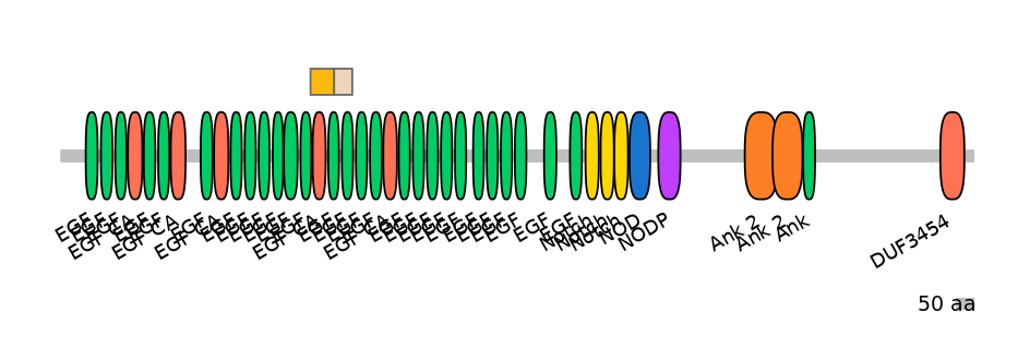 HsaINT0114844-EXC