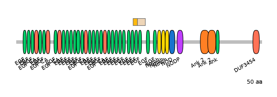 HsaINT0114854-EXC