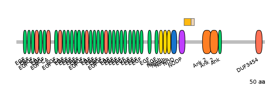 HsaINT0114860-EXC